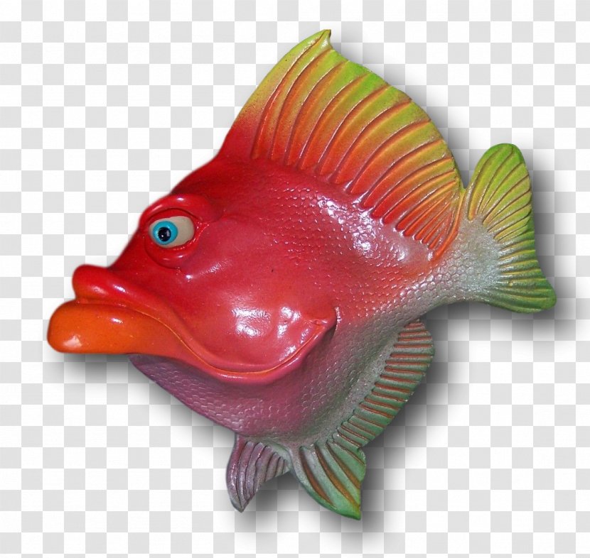 Fish Marine Biology Organism Artist - Mike Quinn - Lovely Transparent PNG