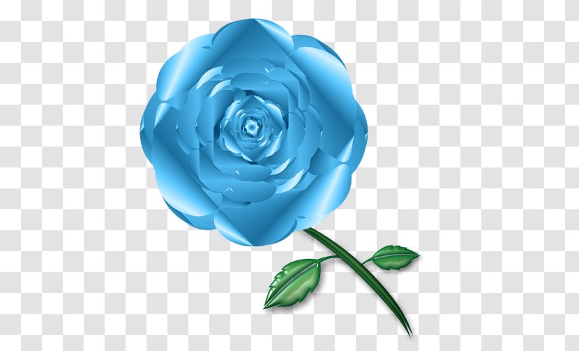 Garden Roses Blue Rose Cabbage Cut Flowers - Order Transparent PNG