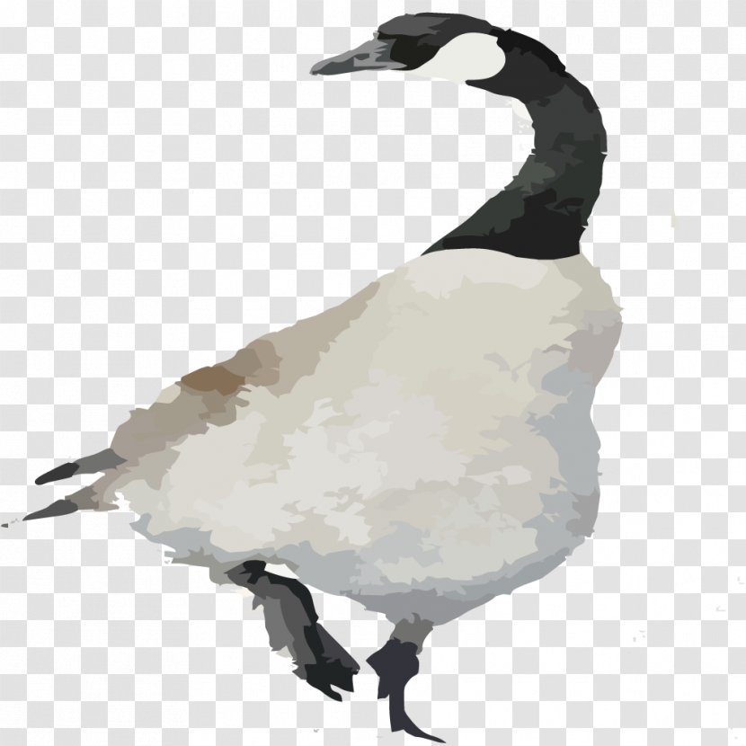 Duck Goose Cygnini Bird - Creative Hand-painted Swan Transparent PNG