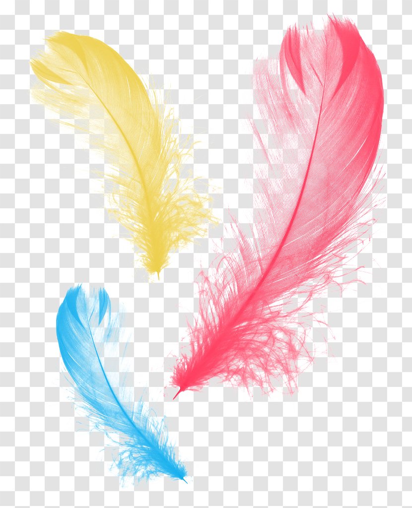 Feather Graphic Design - Blue Transparent PNG