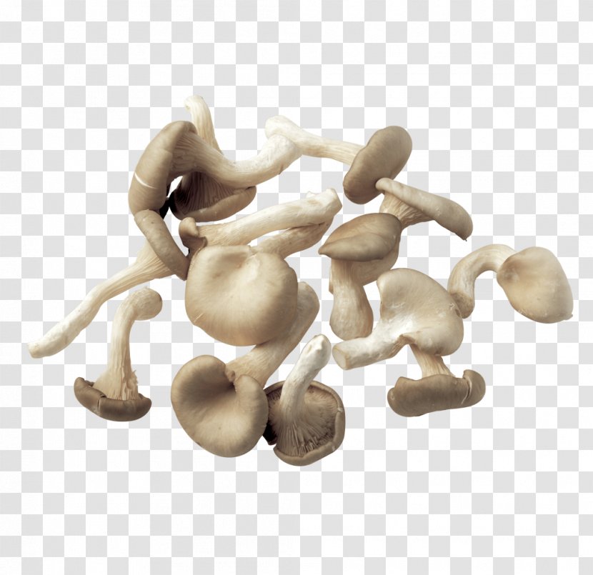Common Mushroom Fungus Clip Art - Ingredient - A Spread Of Mushrooms Transparent PNG