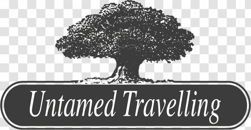 Untamed Travelling Travel Agent Pośrednik Turystyczny TUI Group Transparent PNG