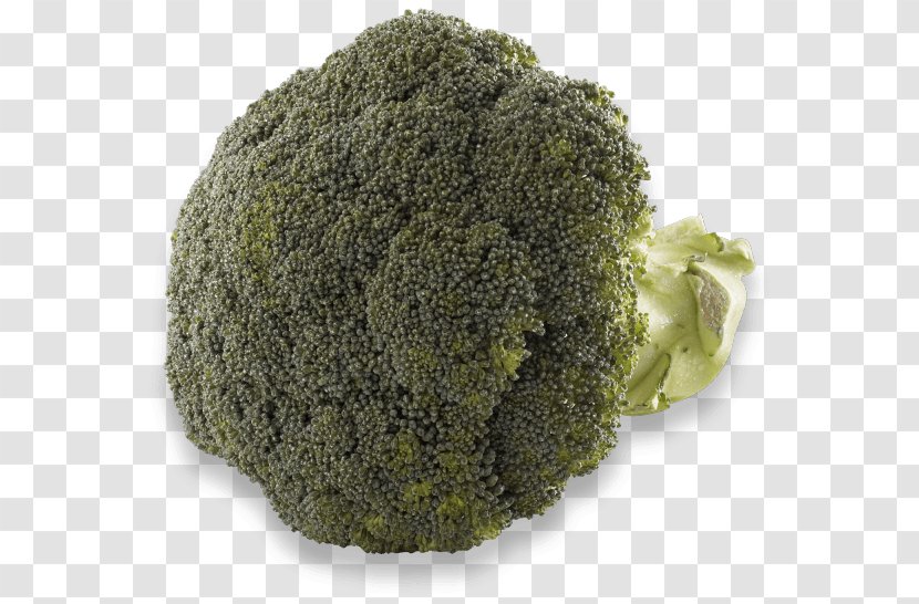 Broccoli - Leaf Vegetable Transparent PNG