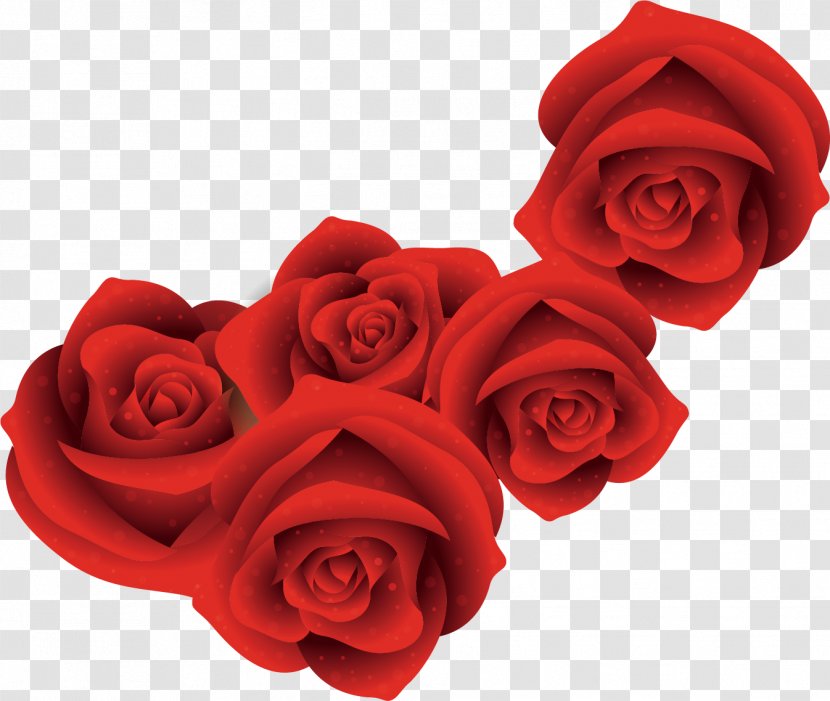 Red Roses - Rose Order - Valentine S Day Transparent PNG