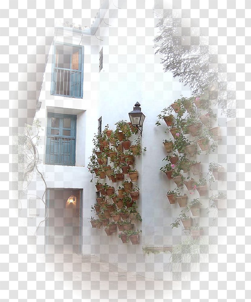Window Property Tree - House Transparent PNG