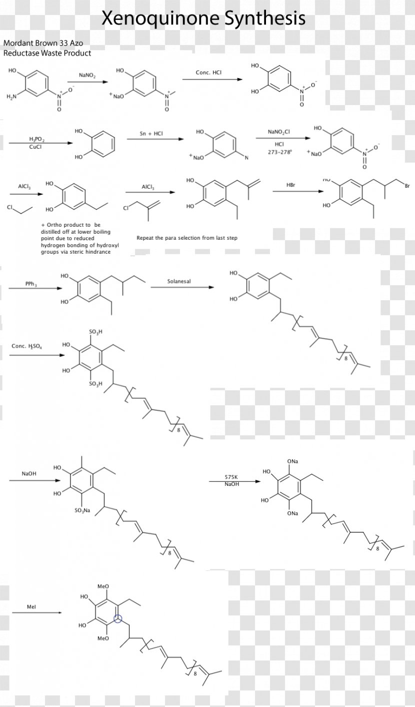 Document White Point Line Art Angle - Animal Transparent PNG