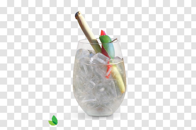 Gin And Tonic Cocktail Garnish Art Director - Tableware - Watercolor Drink. Tropical Drink Transparent PNG