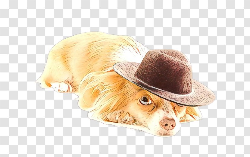 Cowboy Hat - Companion Dog - Costume Cocker Spaniel Transparent PNG