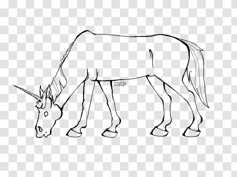 Mule Donkey Mane Mustang Sketch - Organism Transparent PNG