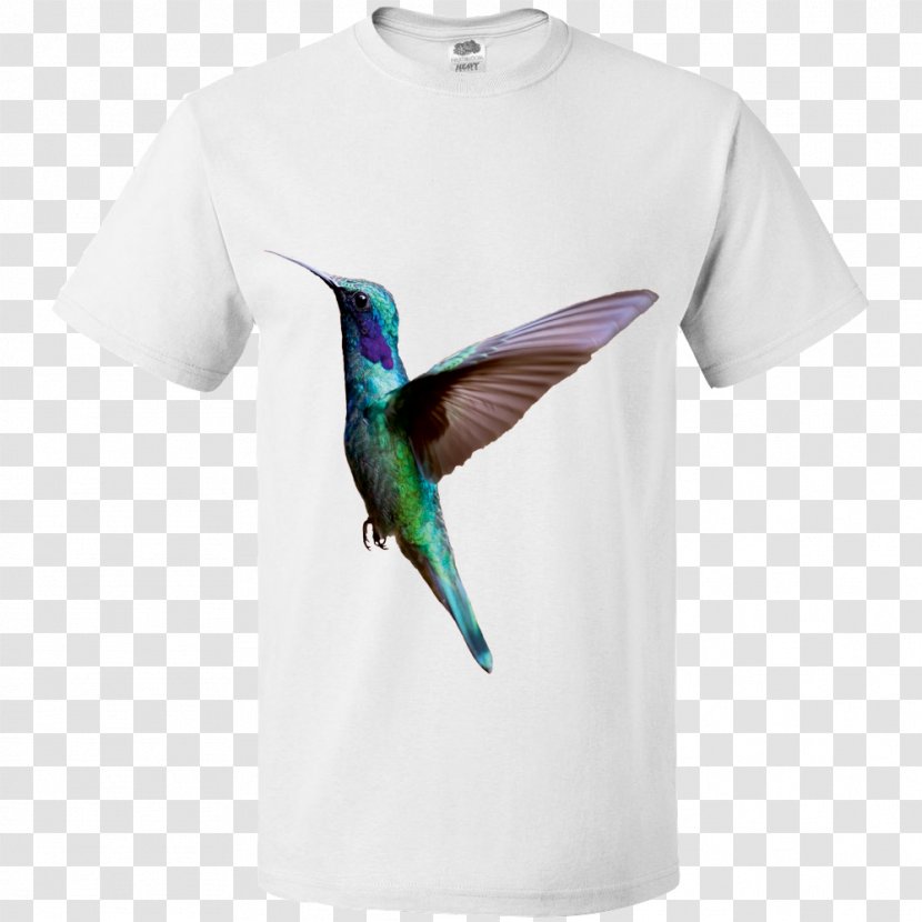 T-shirt Hummingbird M Message - Bird Transparent PNG