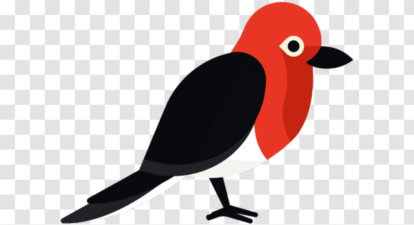 Bird Beak European Robin Songbird Old World Flycatcher - Perching - Finch Transparent PNG