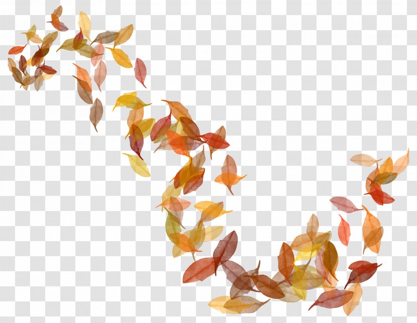 Autumn Leaf Color Clip Art - Drawing - Leaves Transparent PNG