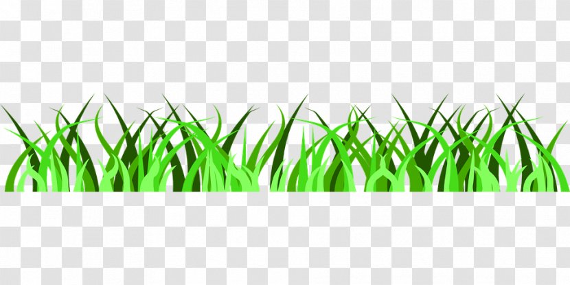 Scavenger Hunt Zoo Child Airplane - Grass Transparent PNG