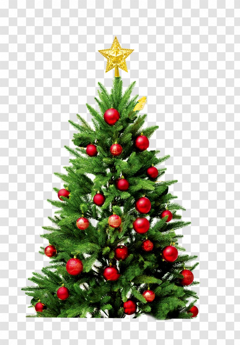 Santa Claus New Year Tree Artificial Christmas - Simple Transparent PNG