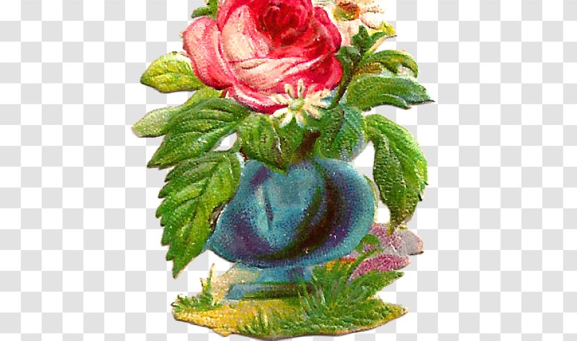 Garden Roses Cabbage Rose Floral Design Cut Flowers Flowerpot - Blooming Dish Transparent PNG