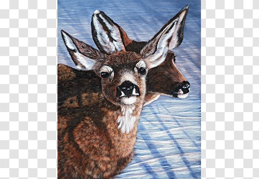 White-tailed Deer Moschus Antelope Fauna - Musk Transparent PNG