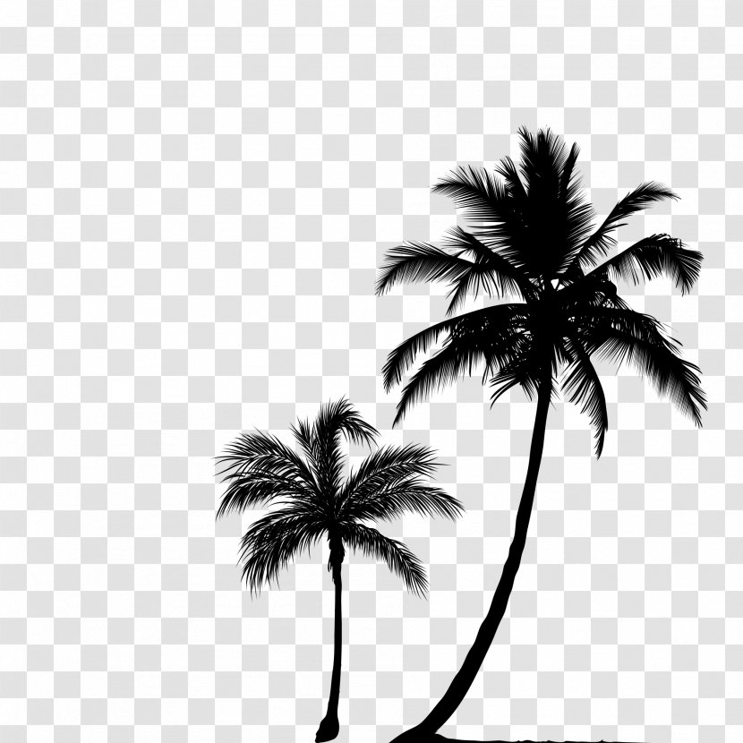 Arecaceae Tree Silhouette Clip Art - Forest Transparent PNG