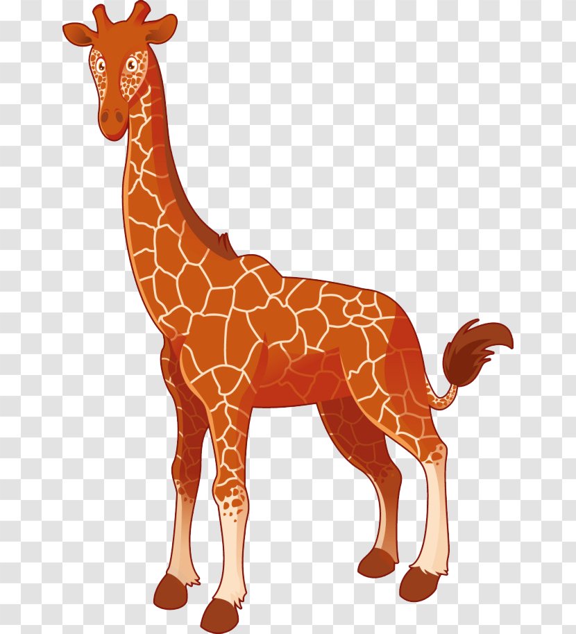 Giraffe Royalty-free Clip Art - Fauna - Cartoon Transparent PNG
