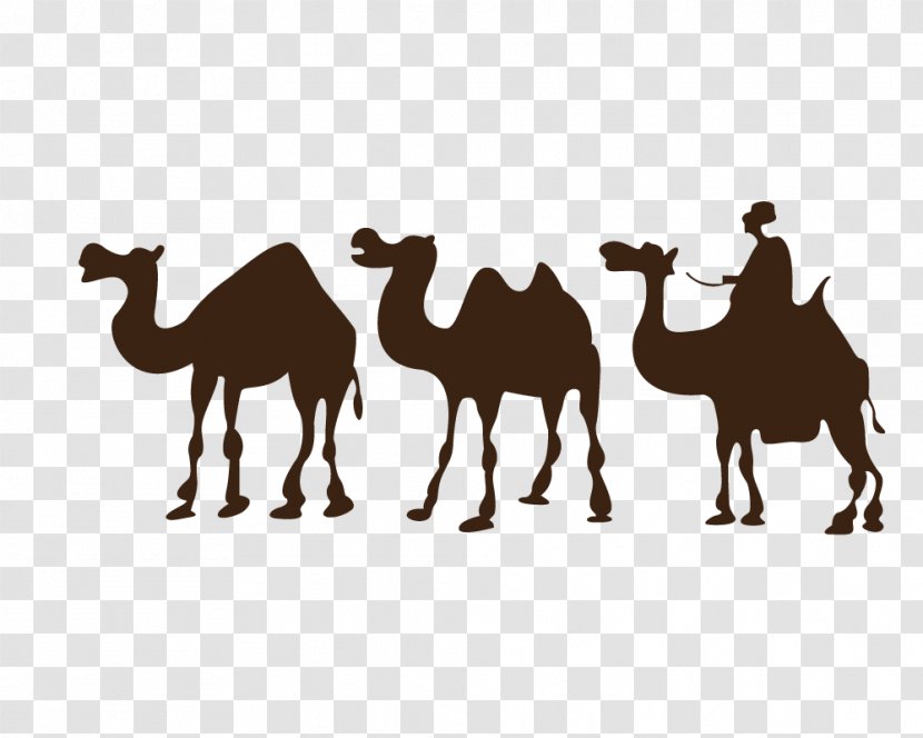 Camel Desert Drawing Clip Art - Mammal - Silhouette Transparent PNG