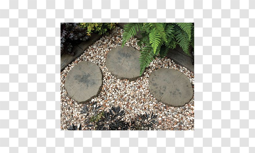 Gravel Rock Soil Pebble Garden - Grass Transparent PNG