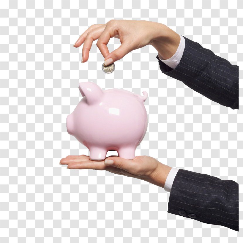 Tax Health Savings Account Employee Benefits Payment - Taxfree - Cute Piggy Bank Transparent PNG