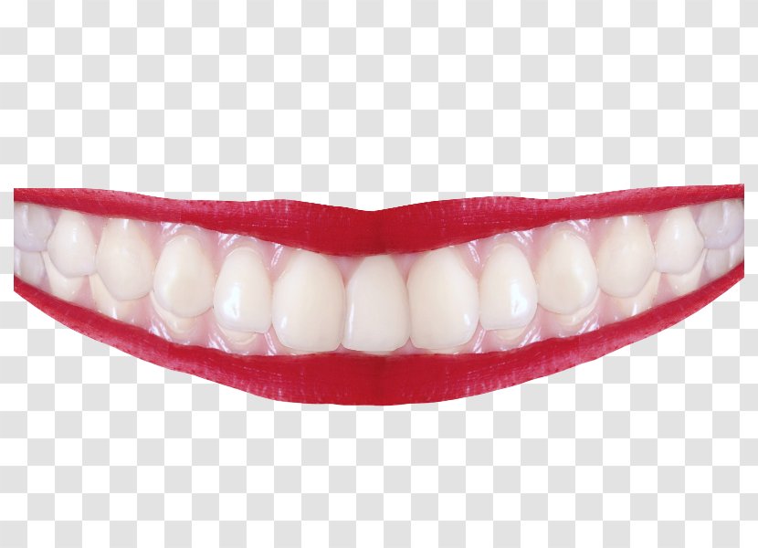Human Tooth - Fever Smile Transparent PNG
