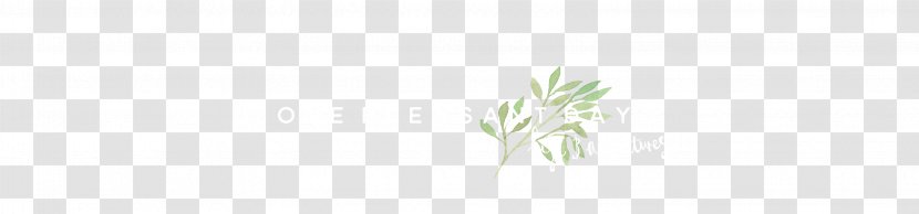 Grasses Desktop Wallpaper Leaf Plant Stem Close-up Transparent PNG