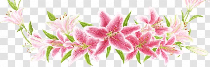 Wall Decal Flower Lilium Sticker - Pink - Bouquet Transparent PNG