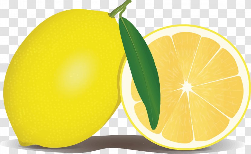 Lemon Health Symptom Vitamin C Disease - Winter Squash - File Transparent PNG