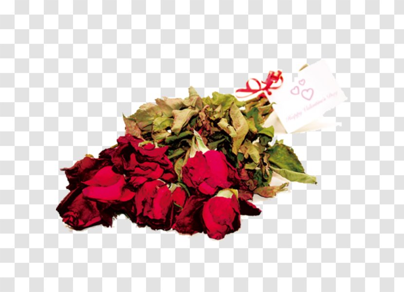 Garden Roses Wilting 69 Ways To Get A Job In Advertising Cut Flowers - Pink Family - Rose Transparent PNG