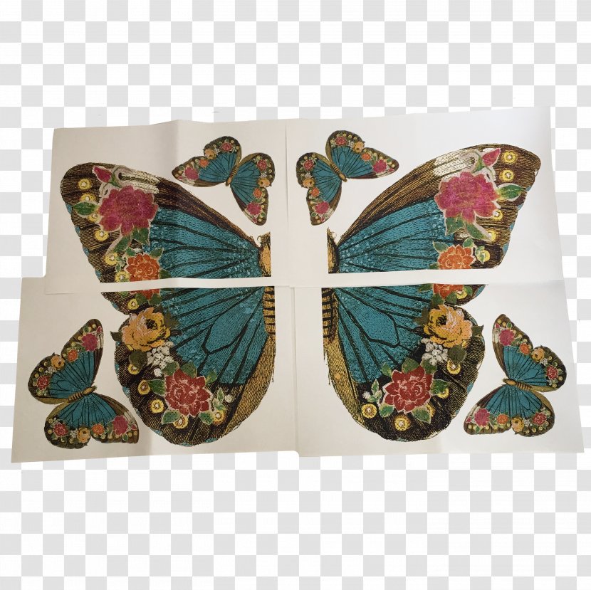 Butterfly Collage Canvas Transparent PNG