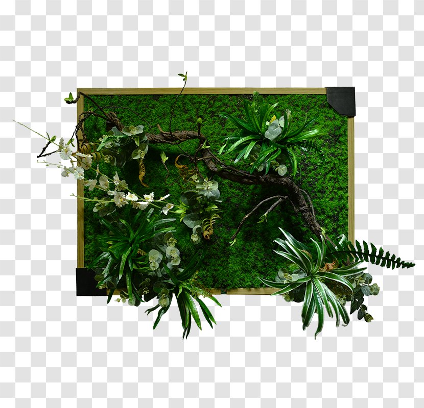 Green Flower - Rectangle Shrub Transparent PNG
