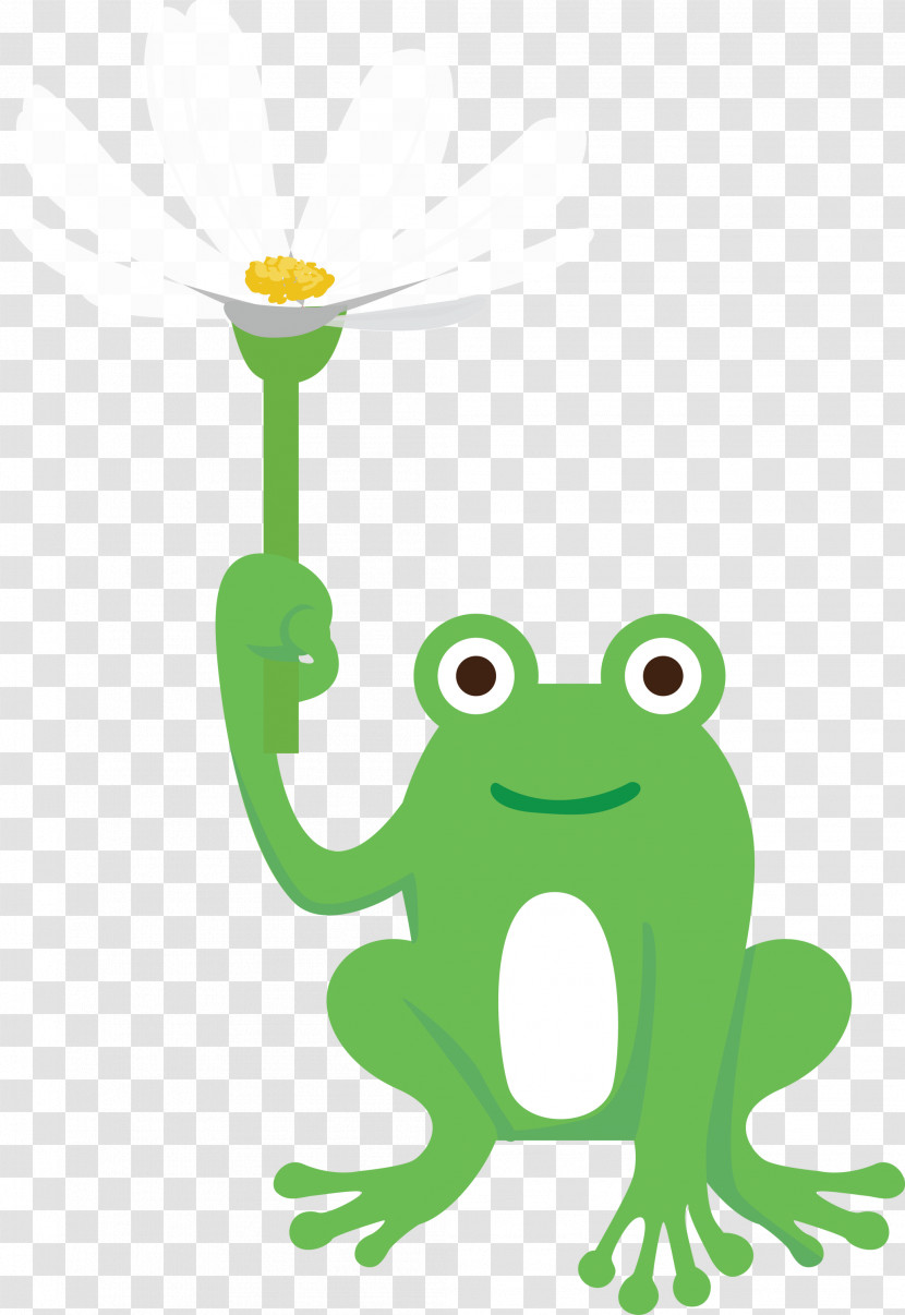 Frogs Tree Frog Cartoon Green Meter Transparent PNG