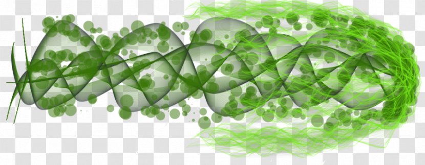 Leaf Vegetable Green Grasses Tree - Fruit - Magic Missile Transparent PNG