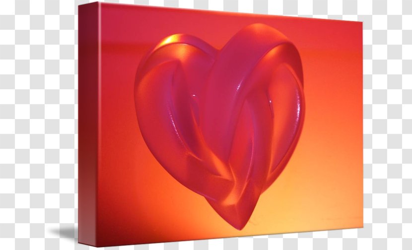Still Life Photography Heart - Petal - Handle With Care Transparent PNG