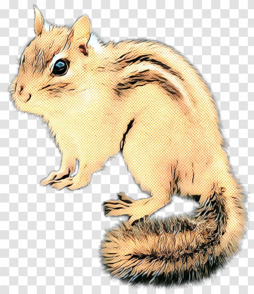 Squirrel Cartoon - Mad Catz Rat M - Fawn Tail Transparent PNG