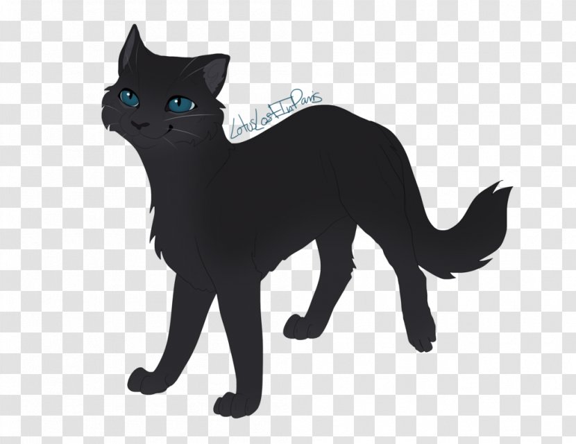 Black Cat Bombay Kitten Domestic Short-haired Whiskers Transparent PNG