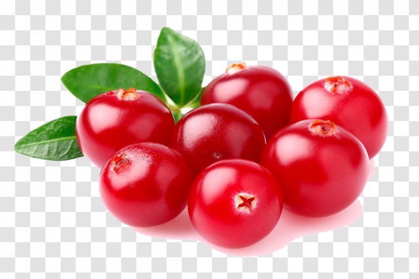 Barbados Cherry Cranberry Juice Vaccinium Corymbosum Fruit - Lingonberry - Seedless Transparent PNG