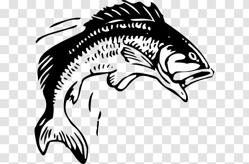 Fish Free Content Clip Art - Walleye - Fisher Cliparts Transparent PNG