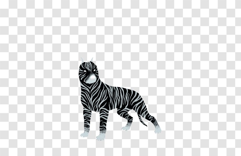 Tiger Cat Whiskers Zebra Terrestrial Animal Transparent PNG