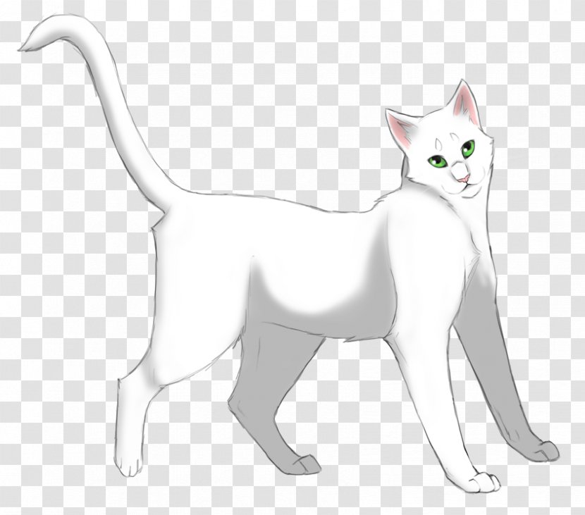 Cat Kitten Dog Mammal Whiskers - Carnivora - Lithe Transparent PNG