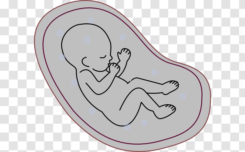 Human Embryogenesis Fetus Clip Art - Silhouette - Pregnancy Transparent PNG