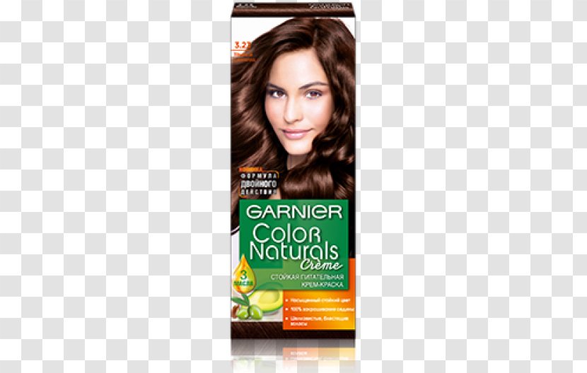 Garnier Hair Coloring Paint - Loreal Transparent PNG