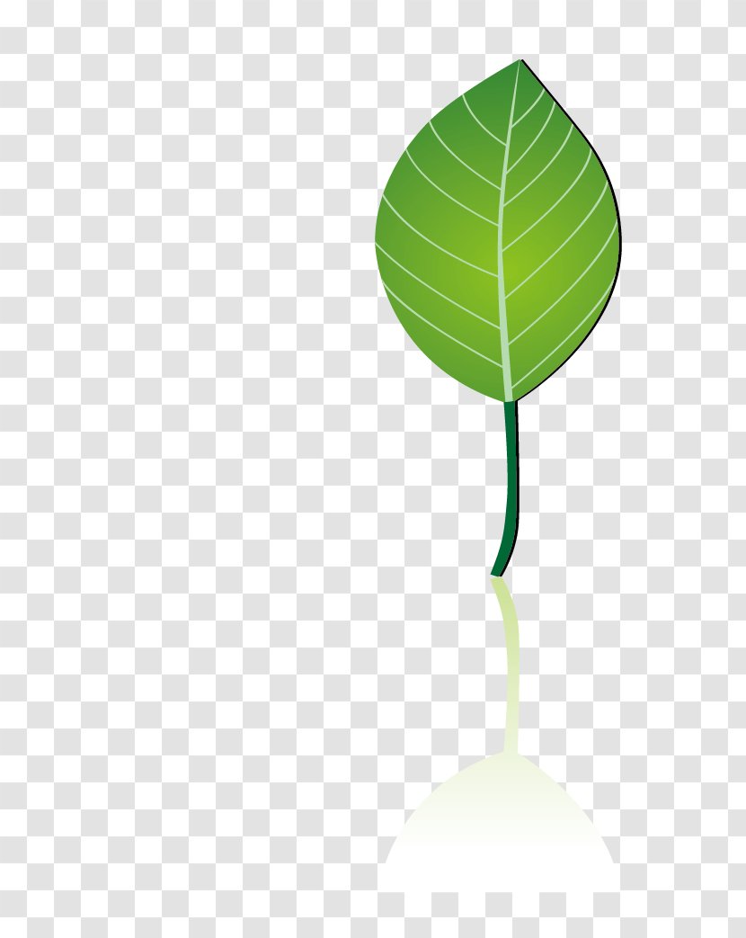 Leaf Green Water Pattern - Tree - Leaves Transparent PNG