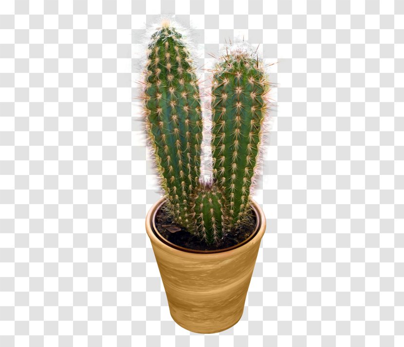 Cactaceae Icon - Sprite - Cactus Image Transparent PNG