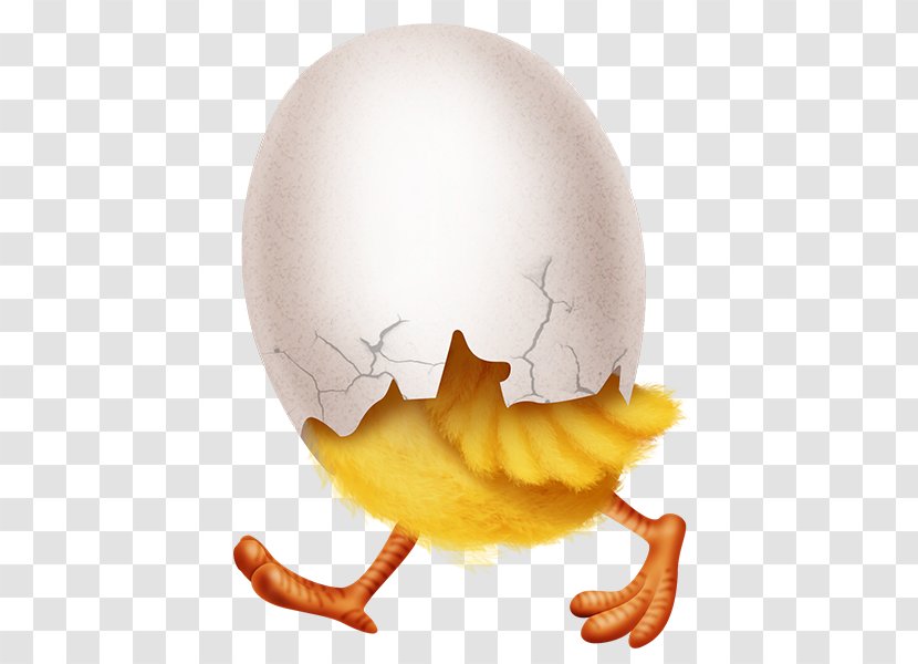 Fried Chicken Egg Kifaranga As Food - Bird Transparent PNG