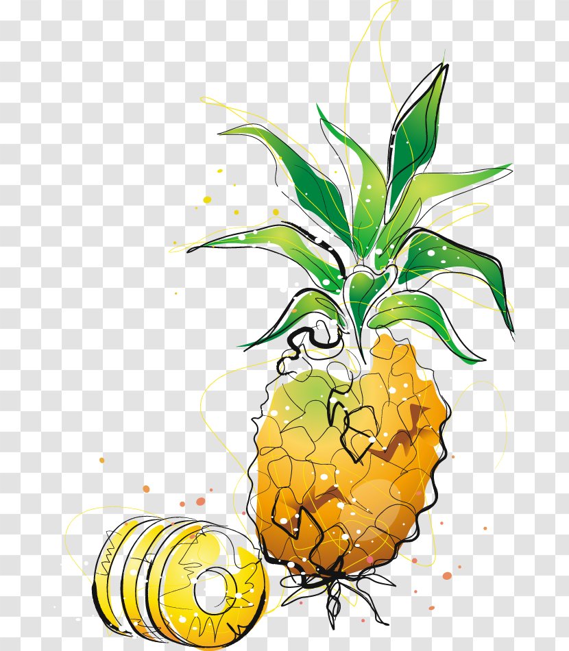 Pineapple Cartoon Drawing Clip Art - Flowering Plant - Painted Transparent PNG