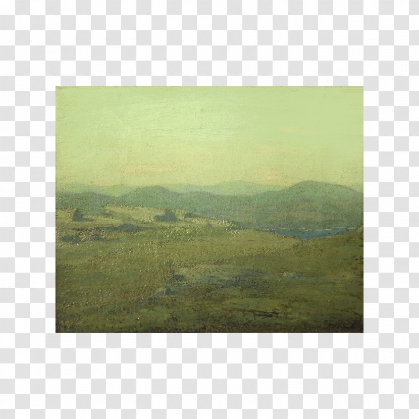 Grassland Meadow Ecoregion Landscape Ecosystem - Land Lot - Antiquity Watercolor Transparent PNG
