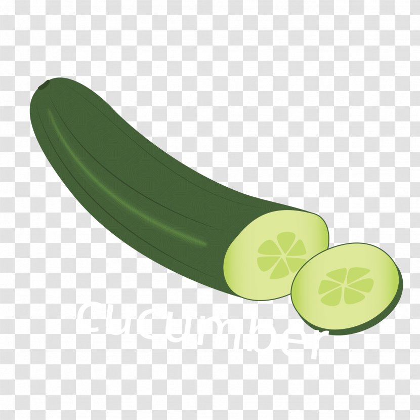 Cucumber Euclidean Vector - Vegetable Transparent PNG