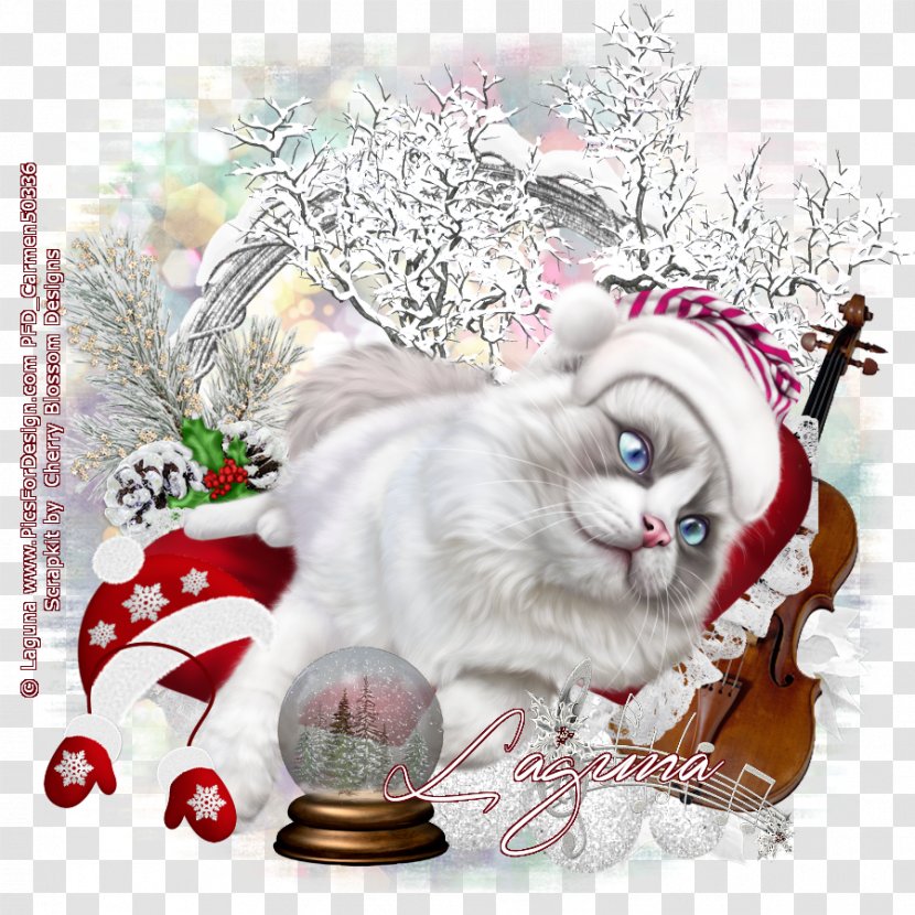 Cat Kitten Christmas Whiskers Carnivora - Fiction - Puss In Boots Transparent PNG